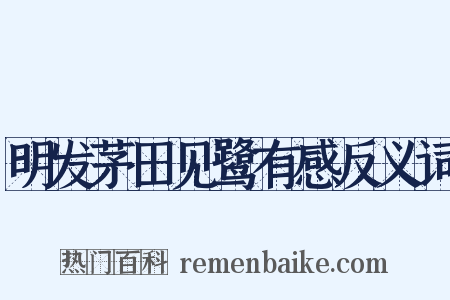 明发茅田见鹭有感反义词是什么意思的图片